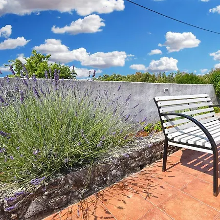 Charming With Pool In Barbariga דירה פרוי